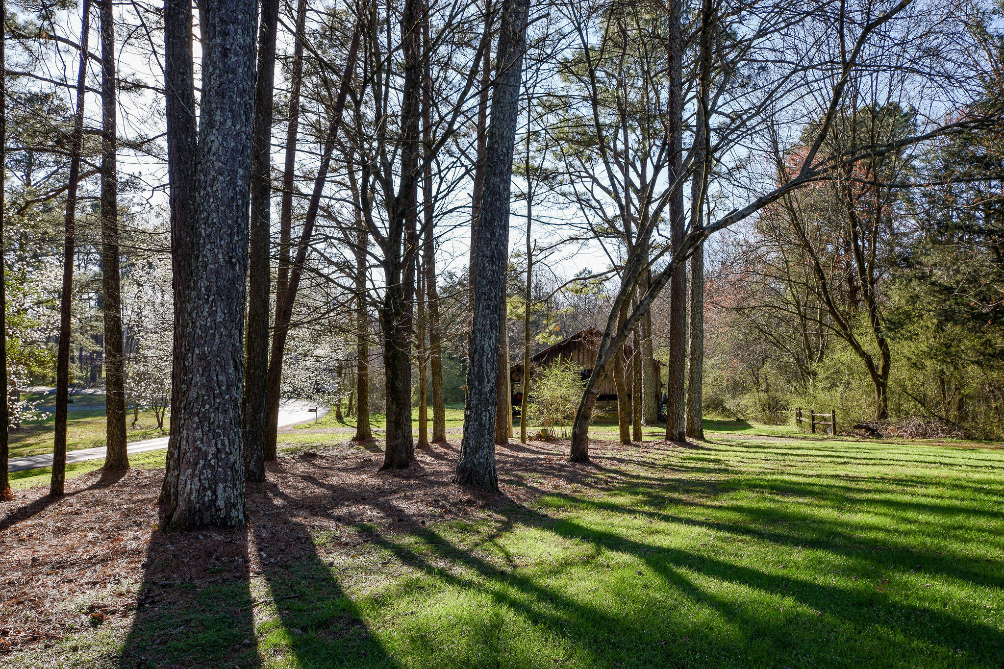 303 Southeast Frazier Road Road Old Fort, TN 37362 - Photo 61 of 65 DSC_5467