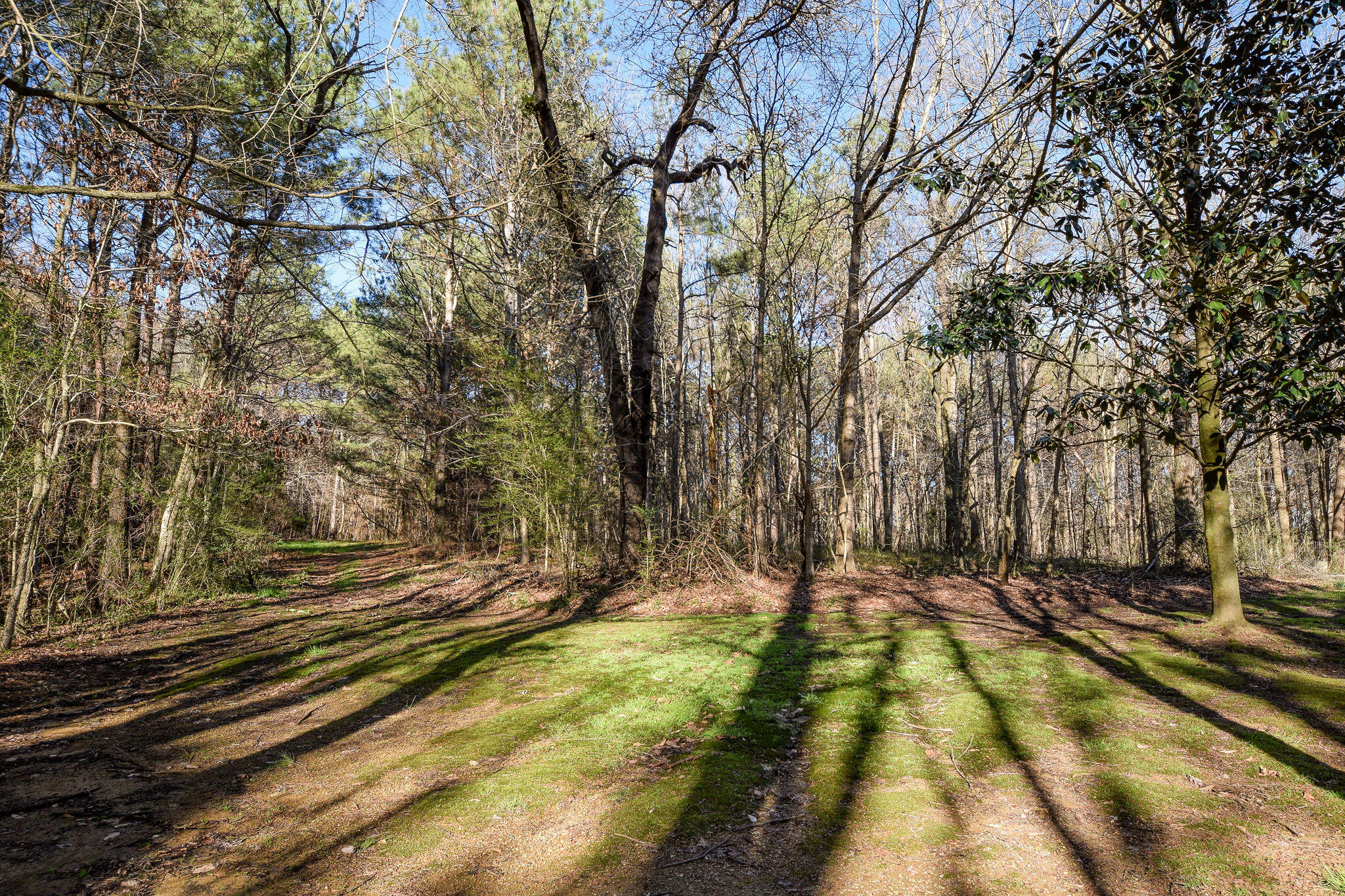 303 Southeast Frazier Road Road Old Fort, TN 37362 - Photo 62 of 65 DSC_5469