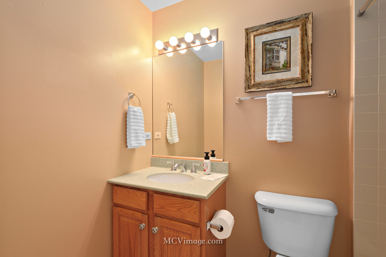 1149 Amber Drive Lemont, IL 60439 - Photo 20 of 24