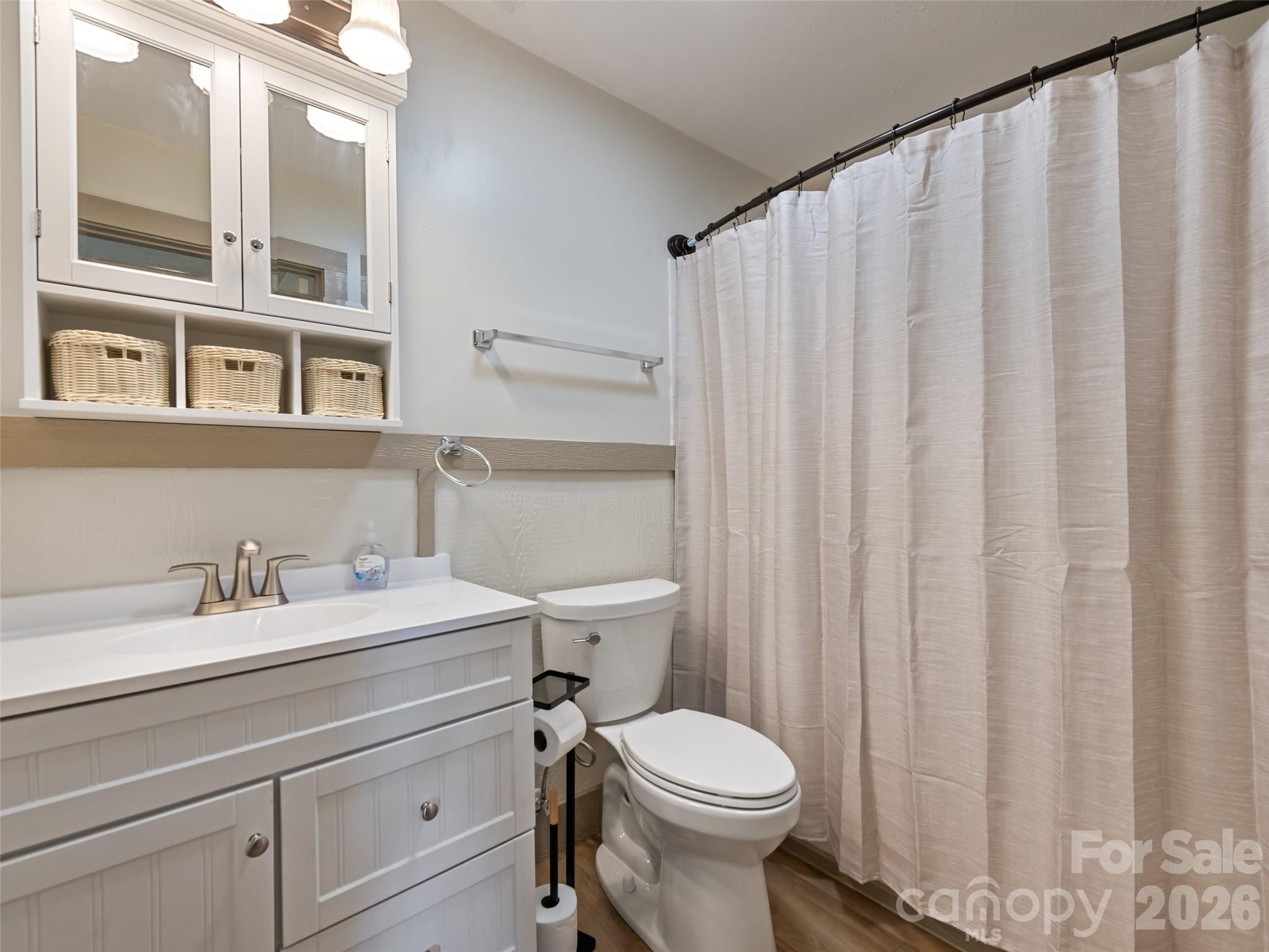 13 Depot Street Clyde, NC 28721 - Photo 16 of 21 a bathroom with a sink a toilet and shower curtain