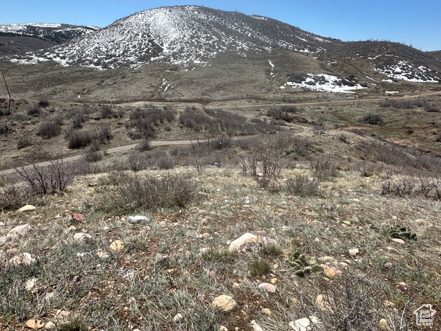 5565 Big Hollow Road Fairview, UT 84629 - Photo 17 of 22