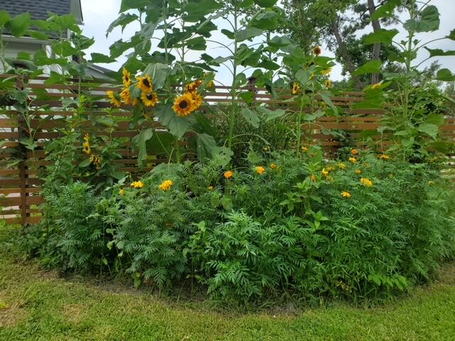 2403 Pristine View Road Charleston, SC 29414 - Photo 44 of 82 20220604_084905