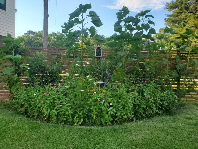 2403 Pristine View Road Charleston, SC 29414 - Photo 45 of 82 20220602_184202