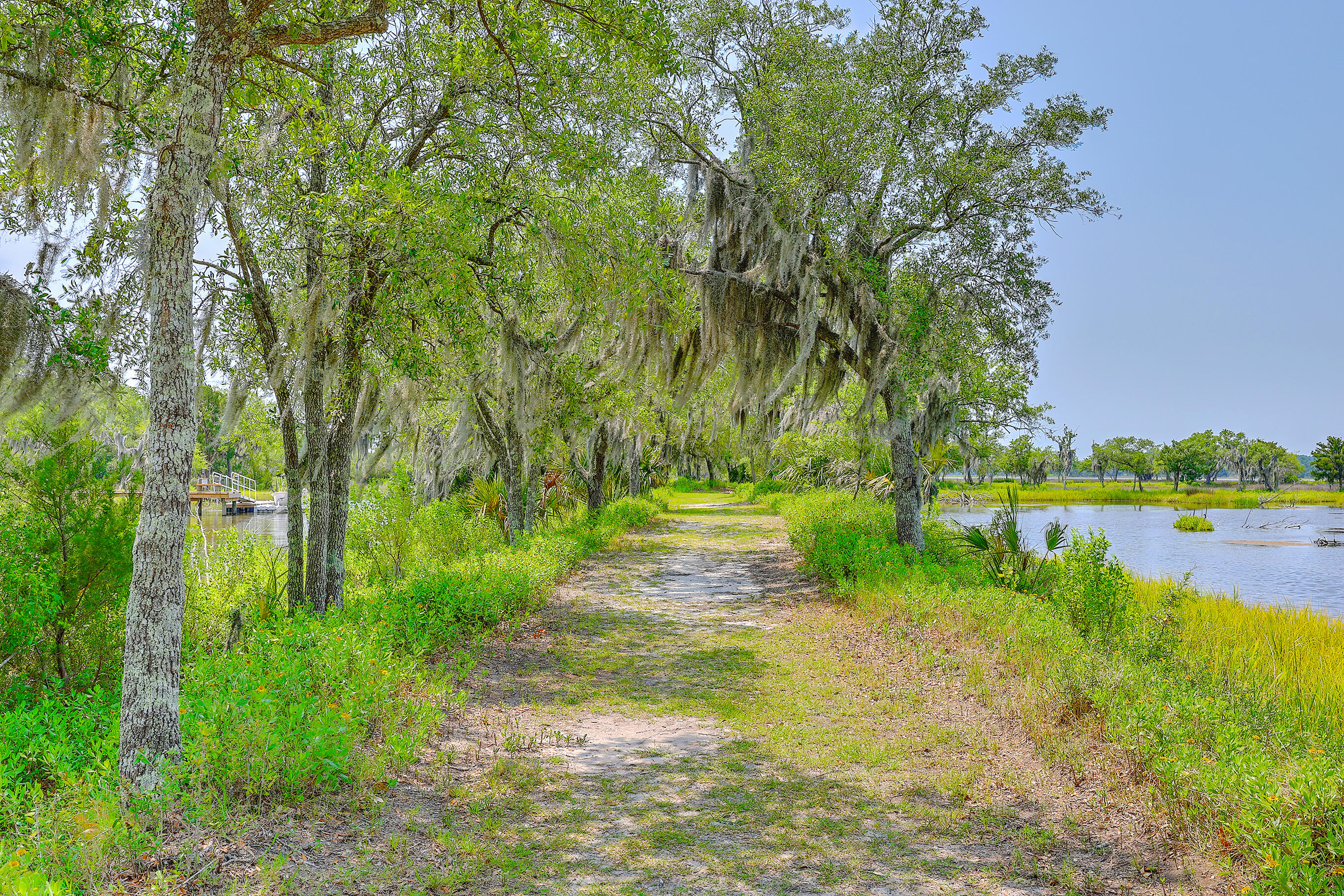 2403 Pristine View Road Charleston, SC 29414 - Photo 53 of 82 ZYN_1524_25_26_27_28_29_30