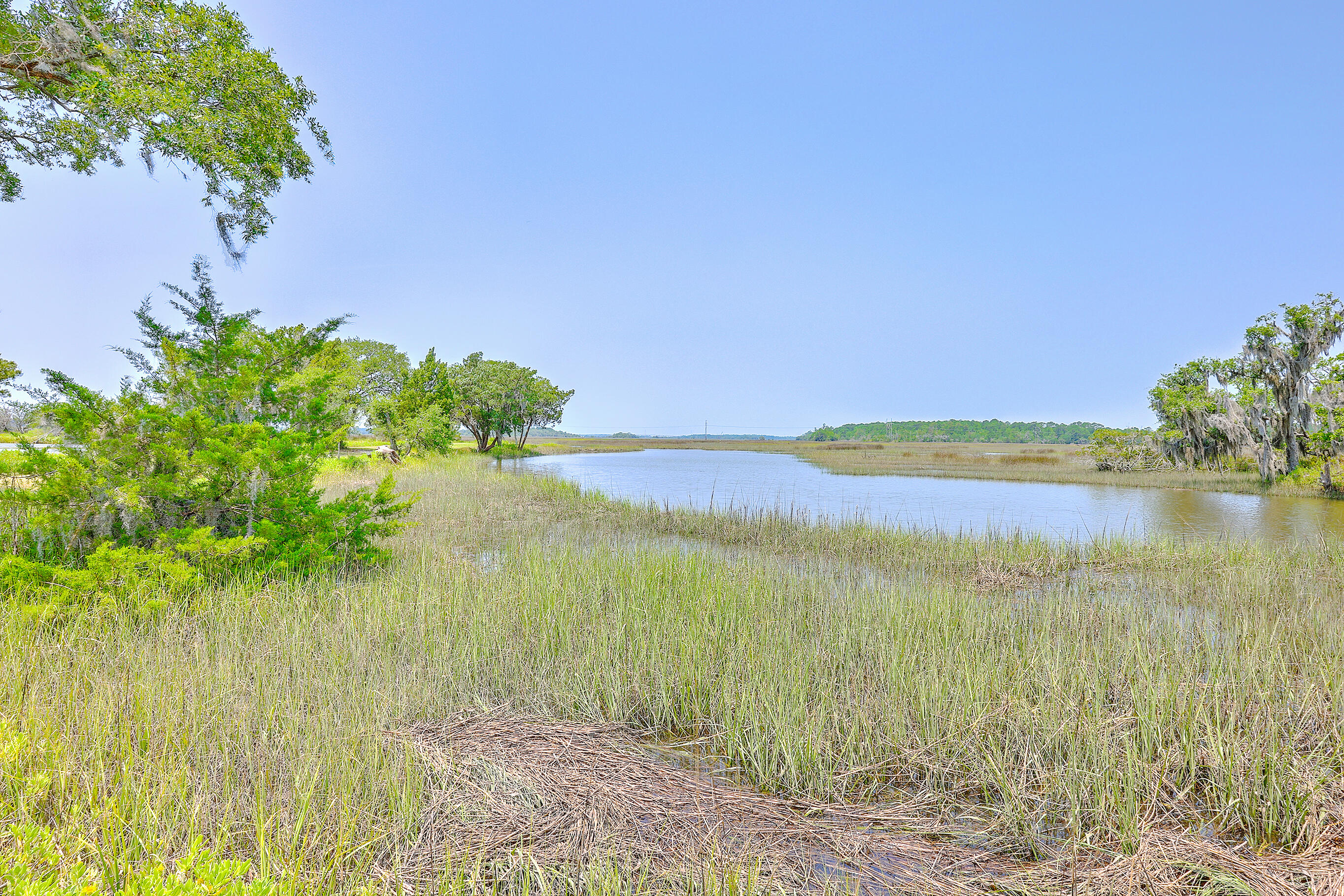 2403 Pristine View Road Charleston, SC 29414 - Photo 57 of 82 ZYN_1496_497_498_499_500_501_502