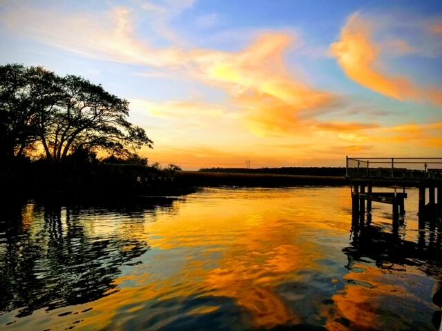 2403 Pristine View Road Charleston, SC 29414 - Photo 65 of 82 20190205_180135-EFFECTS