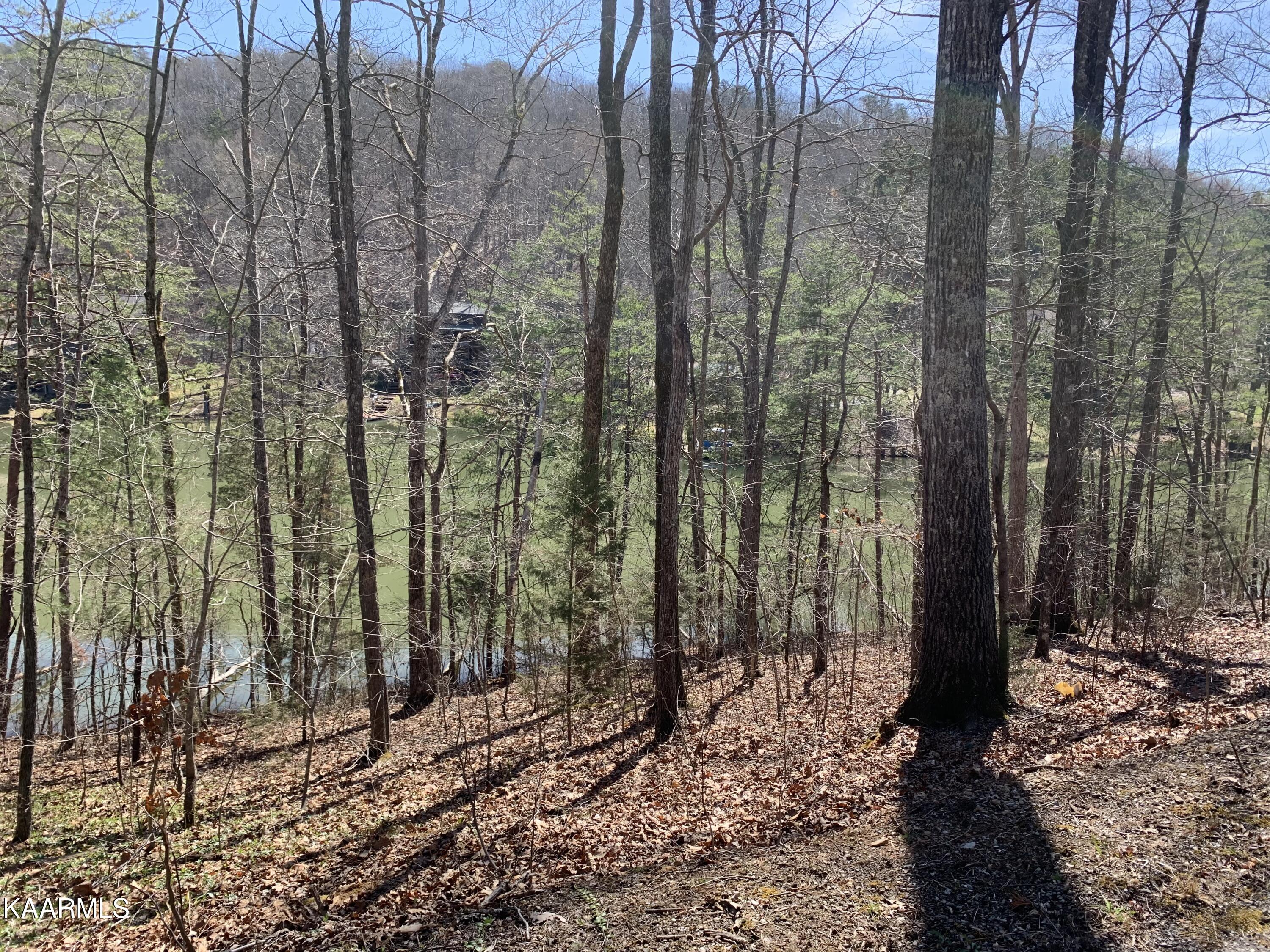 Lot 39 Peninsula Road Madisonville, TN 37354 - Photo 1 of 9 IMG_8515 (2)