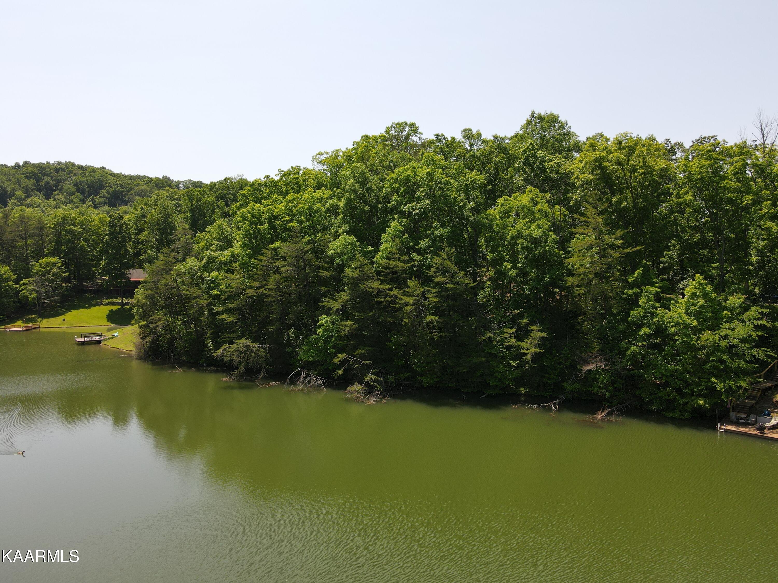 Lot 39 Peninsula Road Madisonville, TN 37354 - Photo 6 of 9 DJI_0393