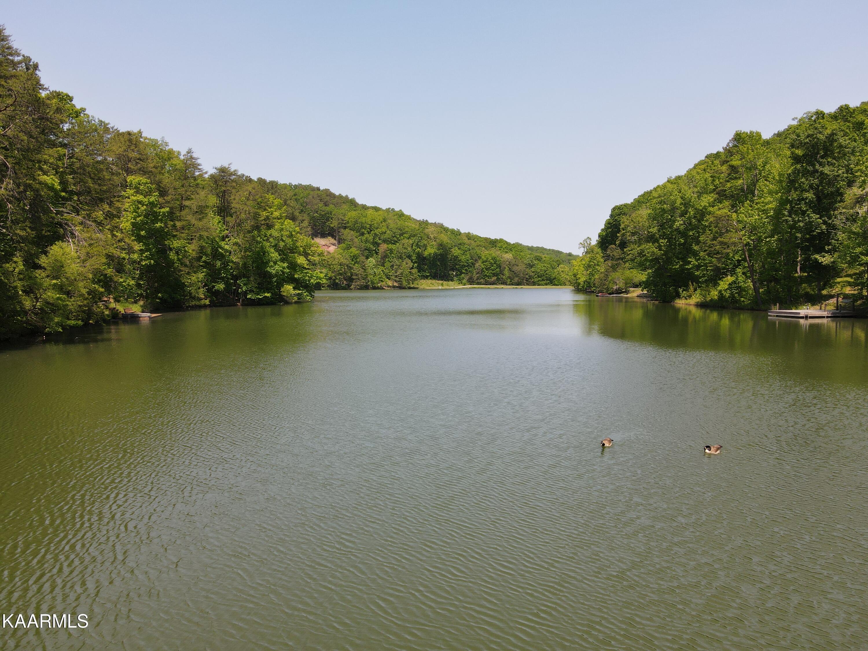 Lot 39 Peninsula Road Madisonville, TN 37354 - Photo 8 of 9 DJI_0413