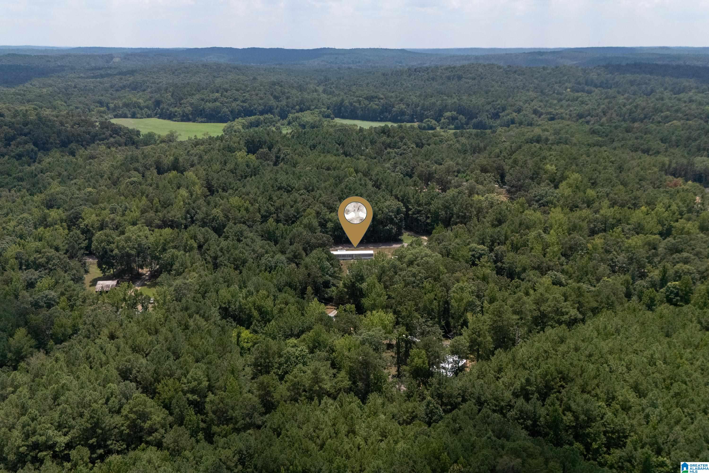 2224 Morris Majestic Road Morris, AL 35116 - Photo 34 of 36