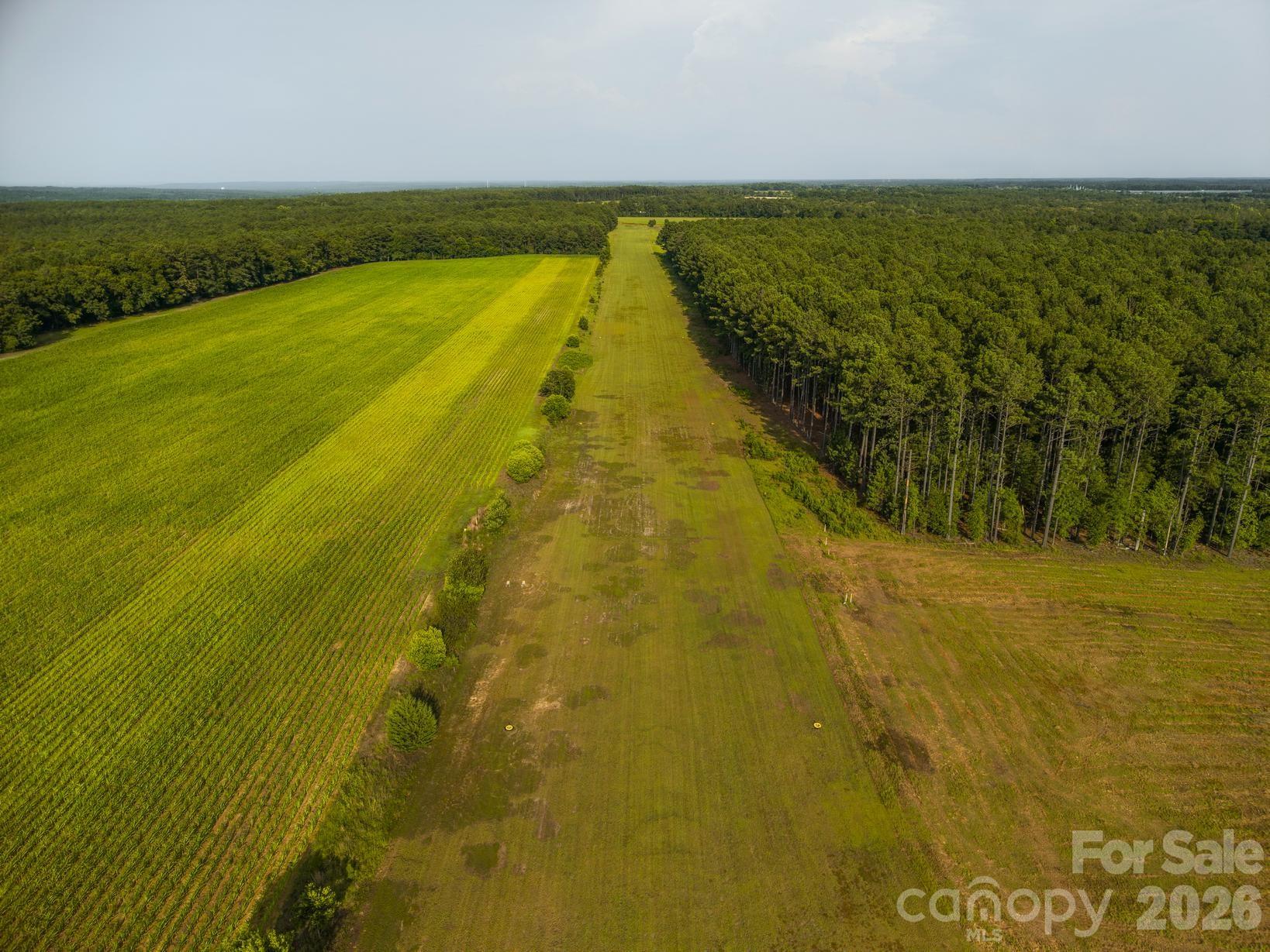 121 Athens School Road Swansea, SC 29160 - Photo 32 of 32 Gallery Image 32