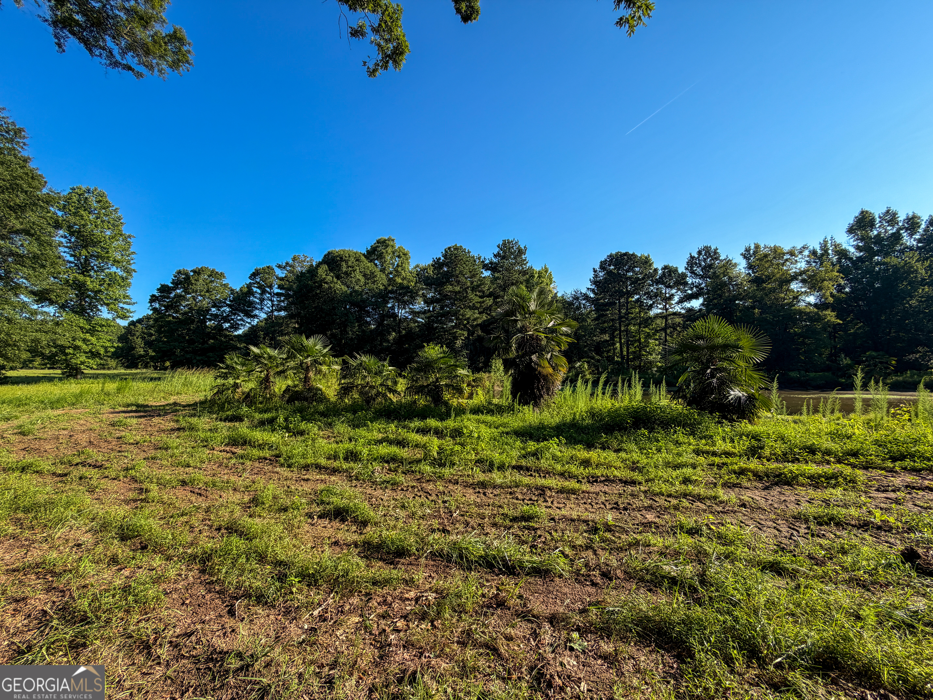0 Hester Town Road Monroe, GA 30655 - Photo 31 of 45