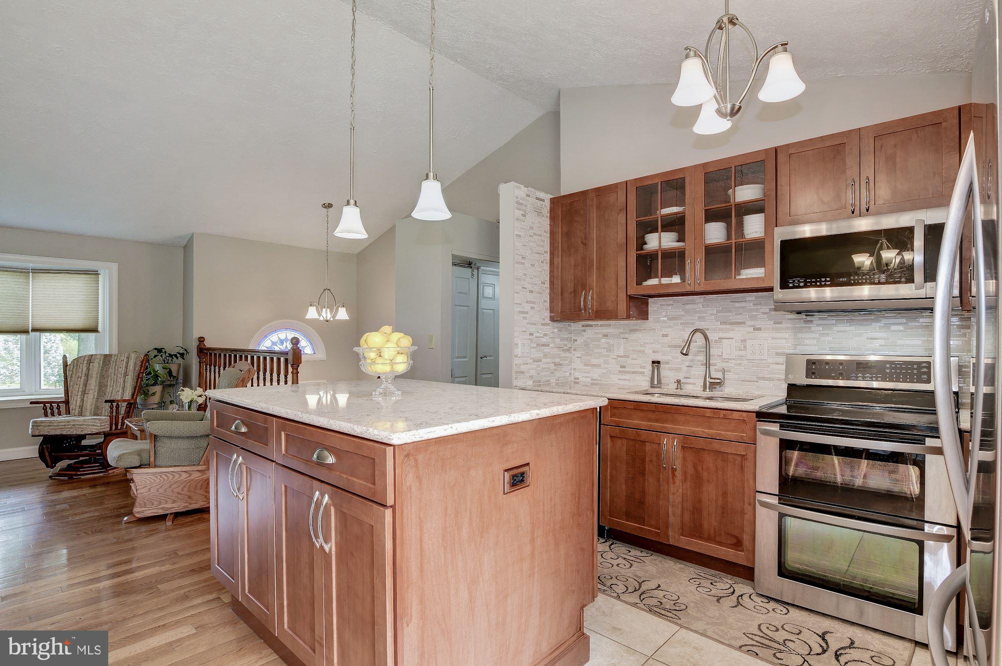 1300 Silo Way Silver Spring, MD 20905 - Photo 9 of 30 Upgraded appliances, lighting, finishes
