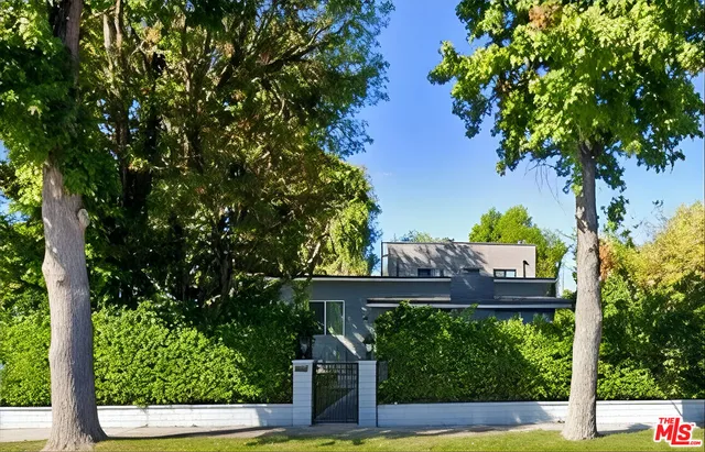 a view of a yard with plants and large trees