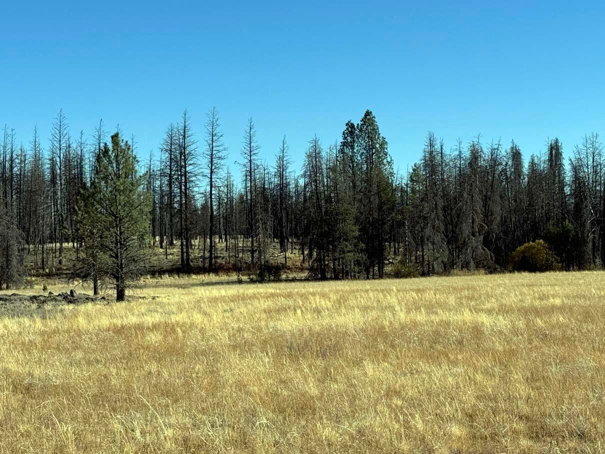 Bull Pine Road, Unit 500 400 300 Beatty, OR 97621 - Photo 28 of 49 IMG_4213