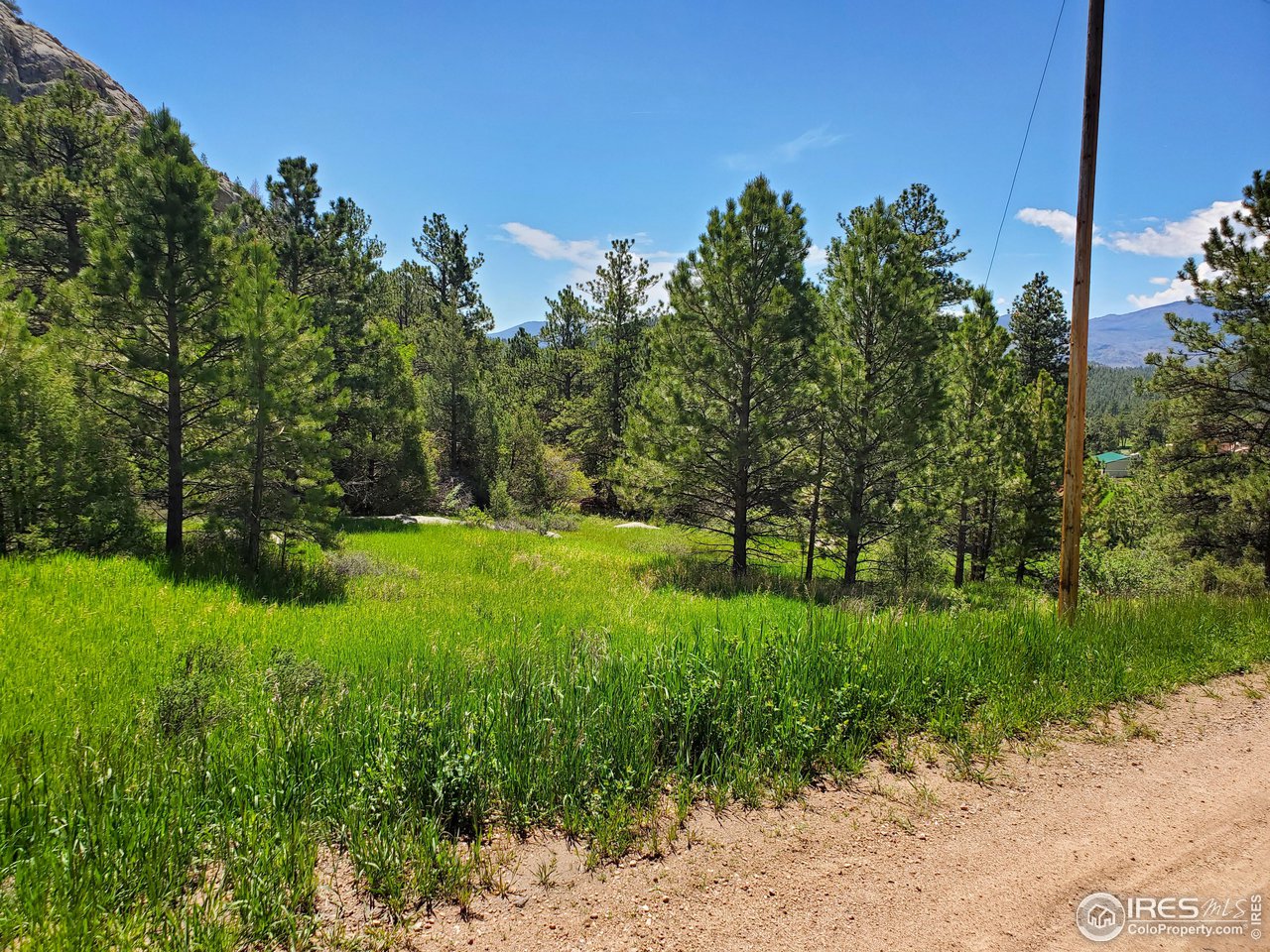 272 Haystack Drive Livermore, CO 80536 - Photo 2 of 7 a view of yard with green space