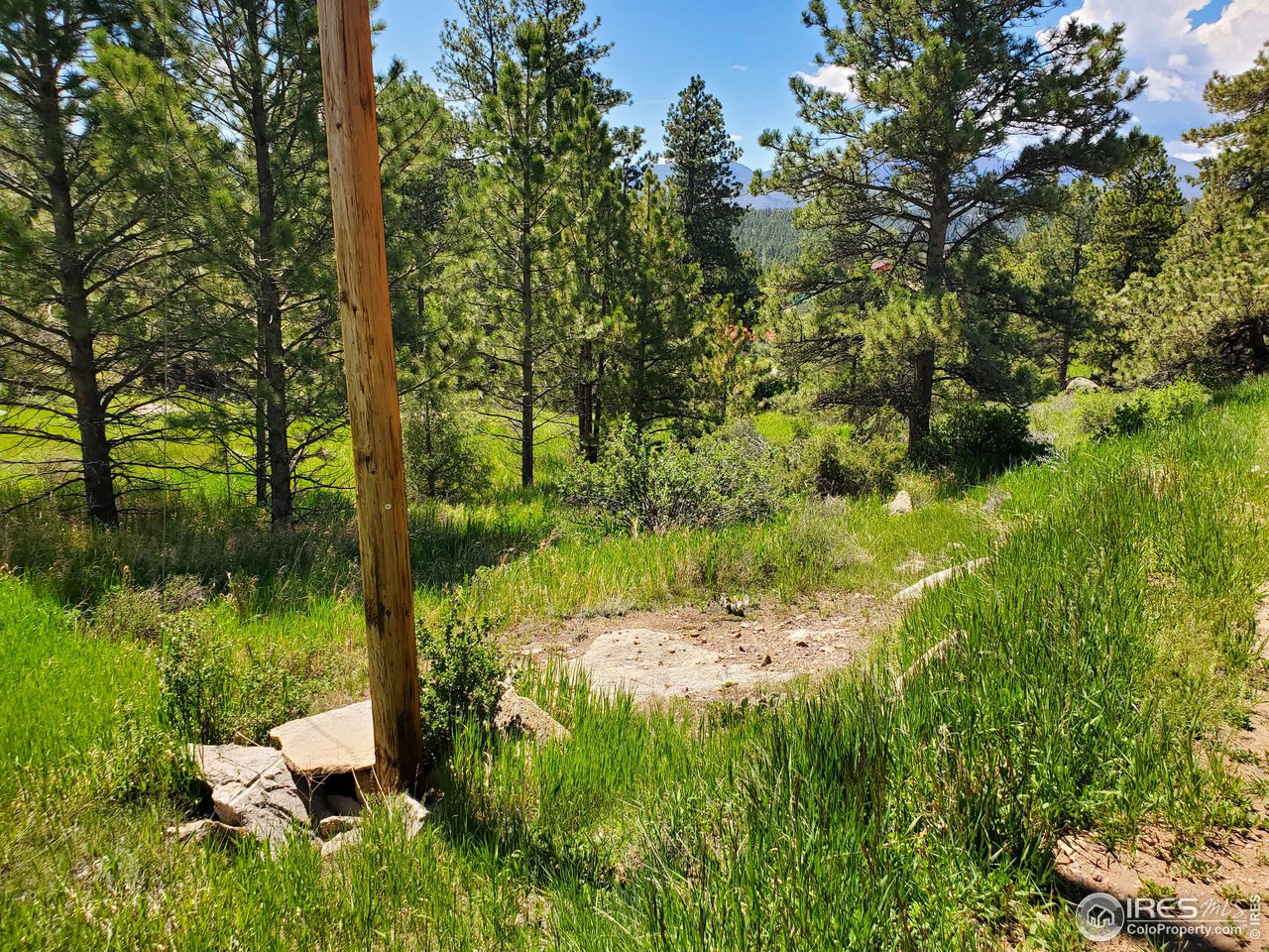 272 Haystack Drive Livermore, CO 80536 - Photo 5 of 7 a backyard of a house with a yard and large trees