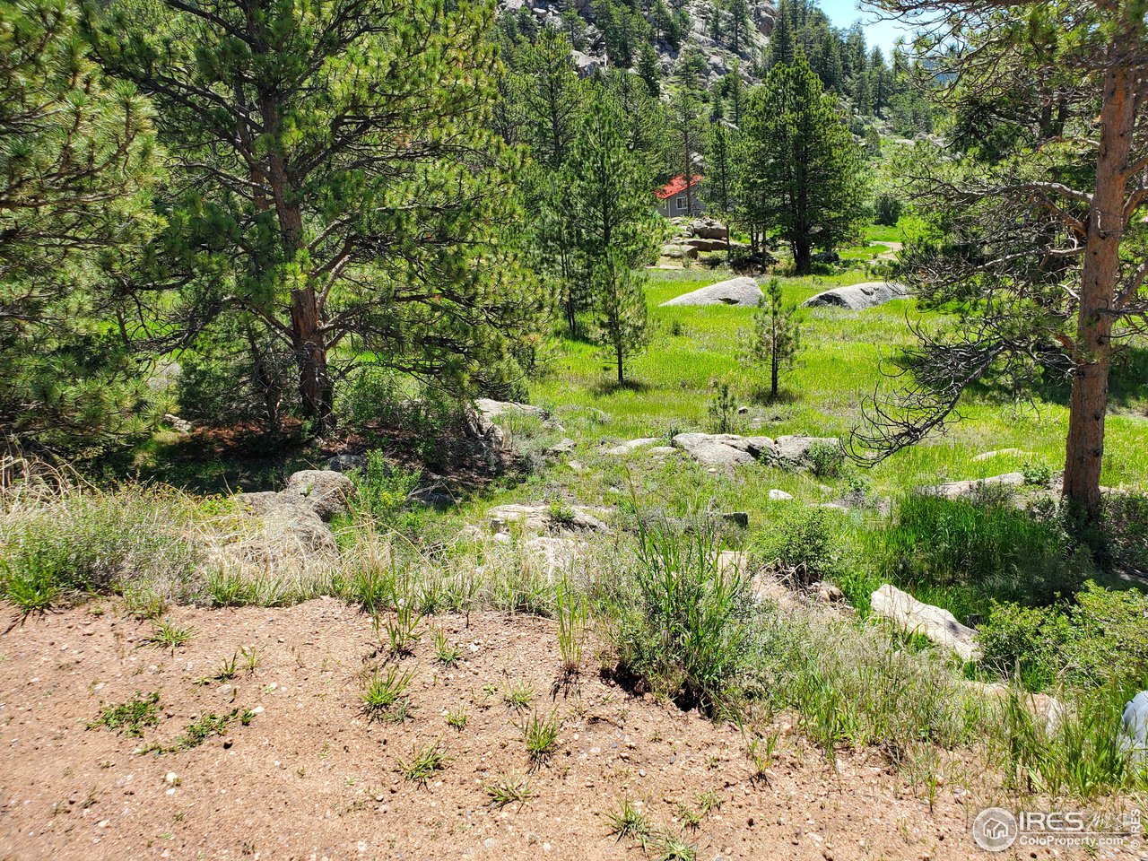 272 Haystack Drive Livermore, CO 80536 - Photo 7 of 7 a view of a garden with trees