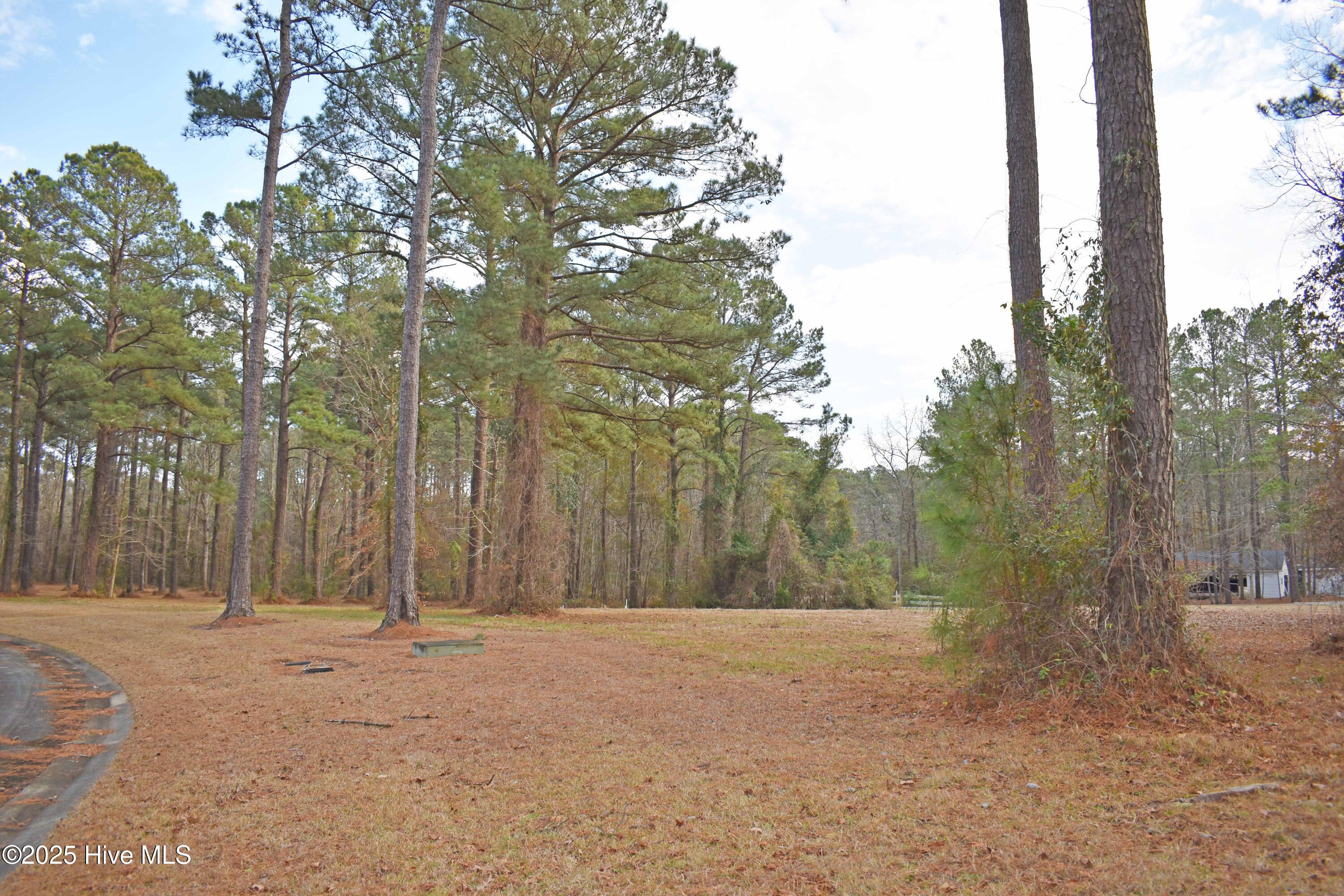 157 Corolla Loop Road Arapahoe, NC 28510 - Photo 1 of 13 DSC_0289ed