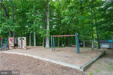 8358 Forrester Boulevard, Unit 471 Springfield, VA 22152 - Photo 29 of 30 Community