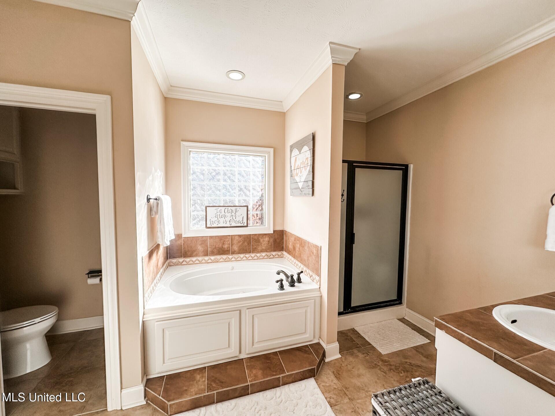 161 Britton Circle Flowood, MS 39232 - Photo 13 of 21 Ensuite1