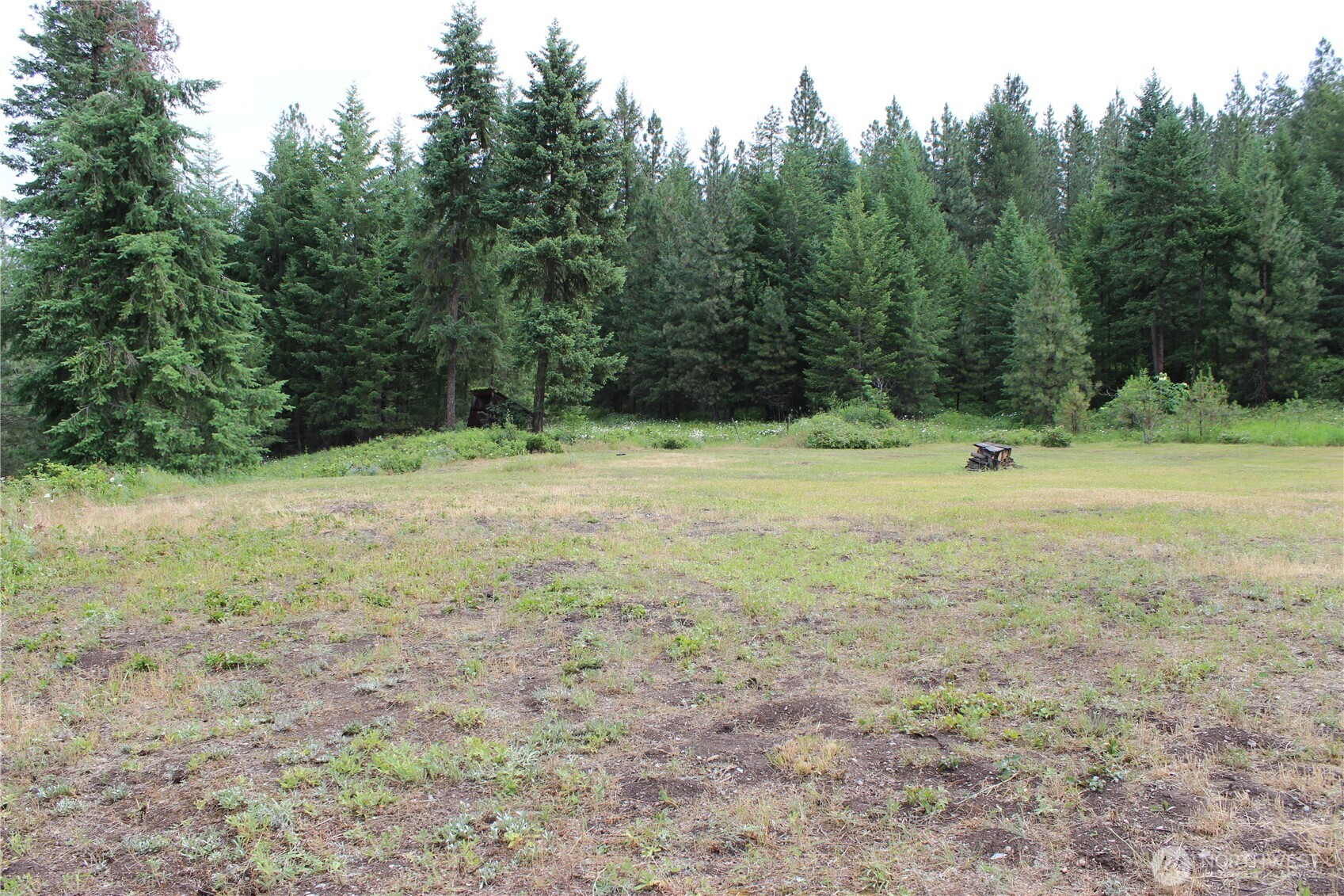 2514 Bridgeman-Rettinger Road Kettle Falls, WA 99141 - Photo 8 of 37 Gallery Image 8