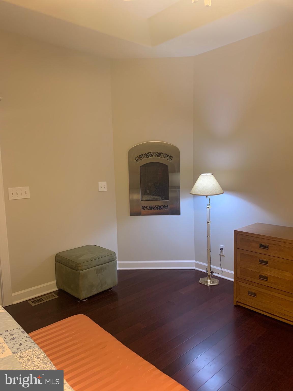 30164 Mine Run Road Locust Grove, VA 22508 - Photo 19 of 28 Corner gas F/P