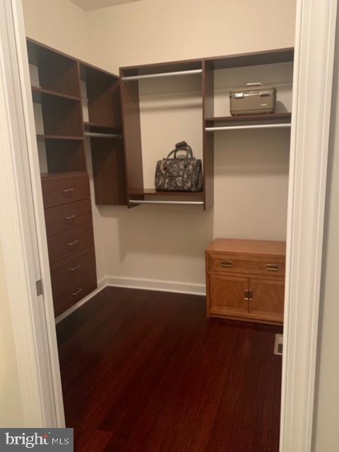 30164 Mine Run Road Locust Grove, VA 22508 - Photo 20 of 28 Walk in Closet with pocket doors