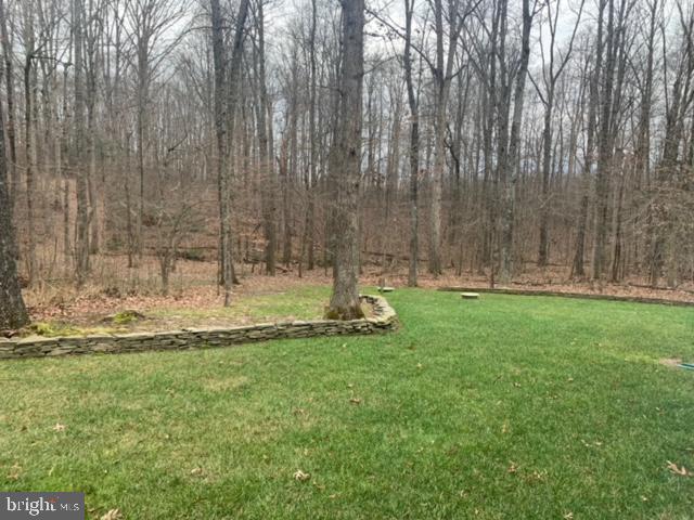 30164 Mine Run Road Locust Grove, VA 22508 - Photo 27 of 28 Beautiful wooded 2.5 acre lot