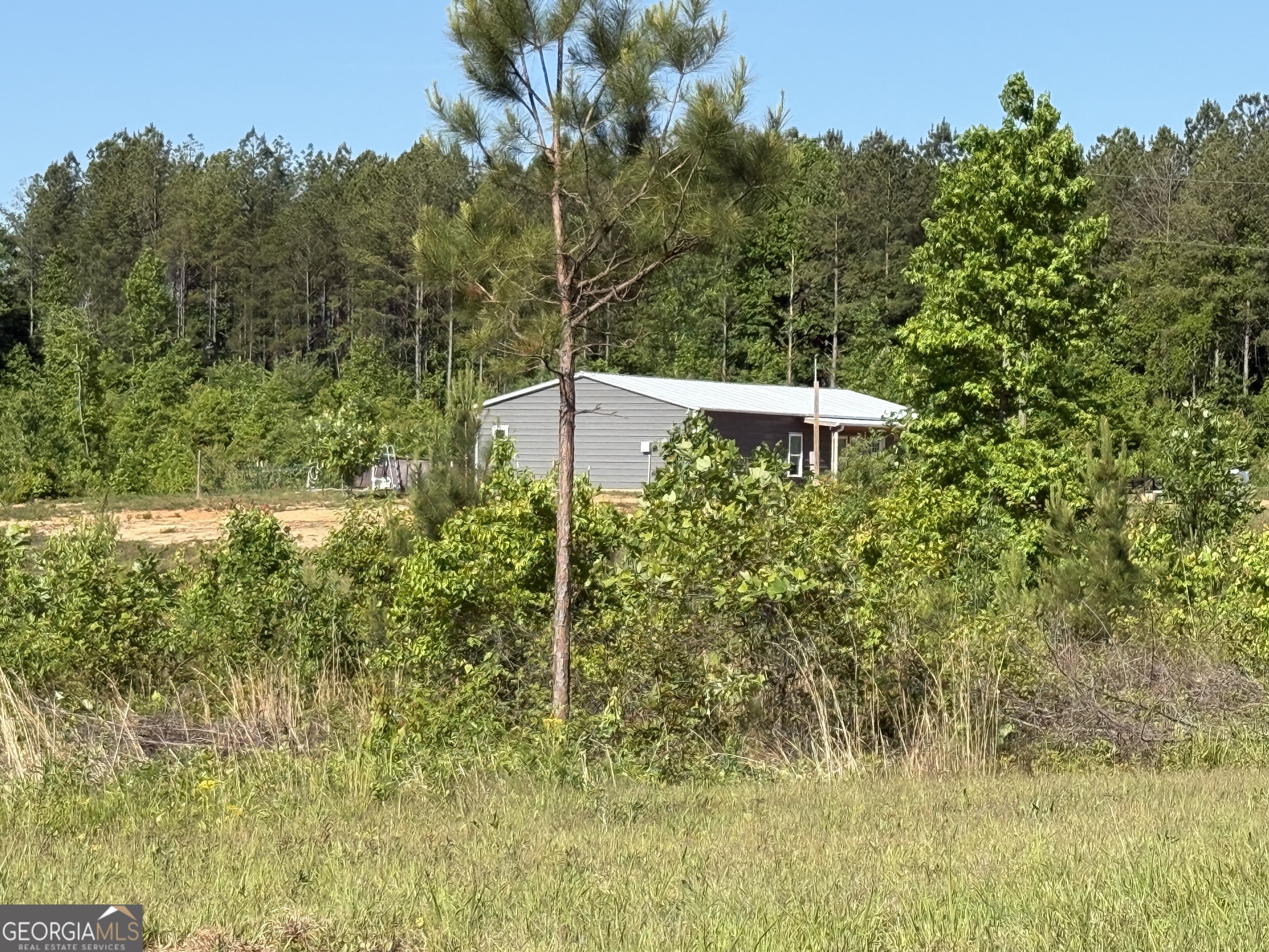 1185 County Road 402 Fruithurst, AL 36262 - Photo 5 of 54
