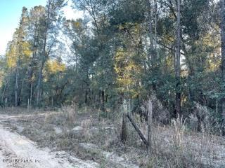 7940 Gustafson Road Keystone Heights, FL 32656 - Photo 1 of 5 image1