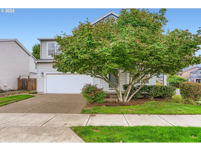 a view of a backyard with plants and a garden
