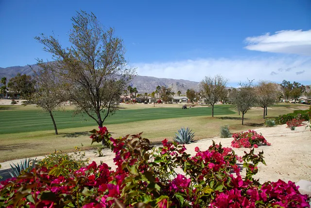 a view of a flower in a yard near a lake