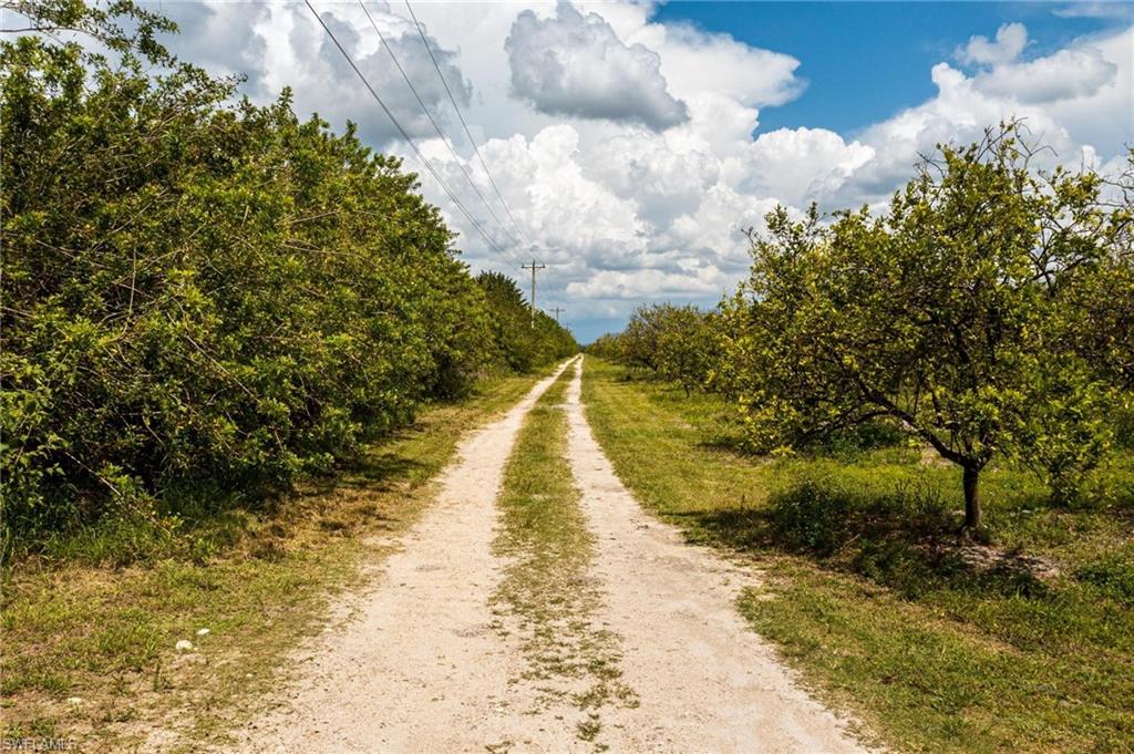 21995 Carter Road Estero, FL 33928 - Photo 2 of 15