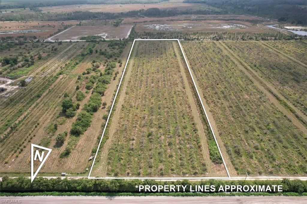 21995 Carter Road Estero, FL 33928 - Photo 4 of 15 10 acres