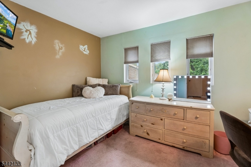 359 Meisel Avenue Springfield, NJ 07081 - Photo 17 of 31