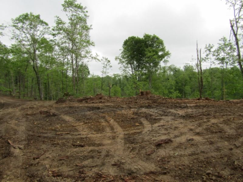 15 Millie Ridge Road Celina, TN 38551 - Photo 12 of 21 Gallery Image 12