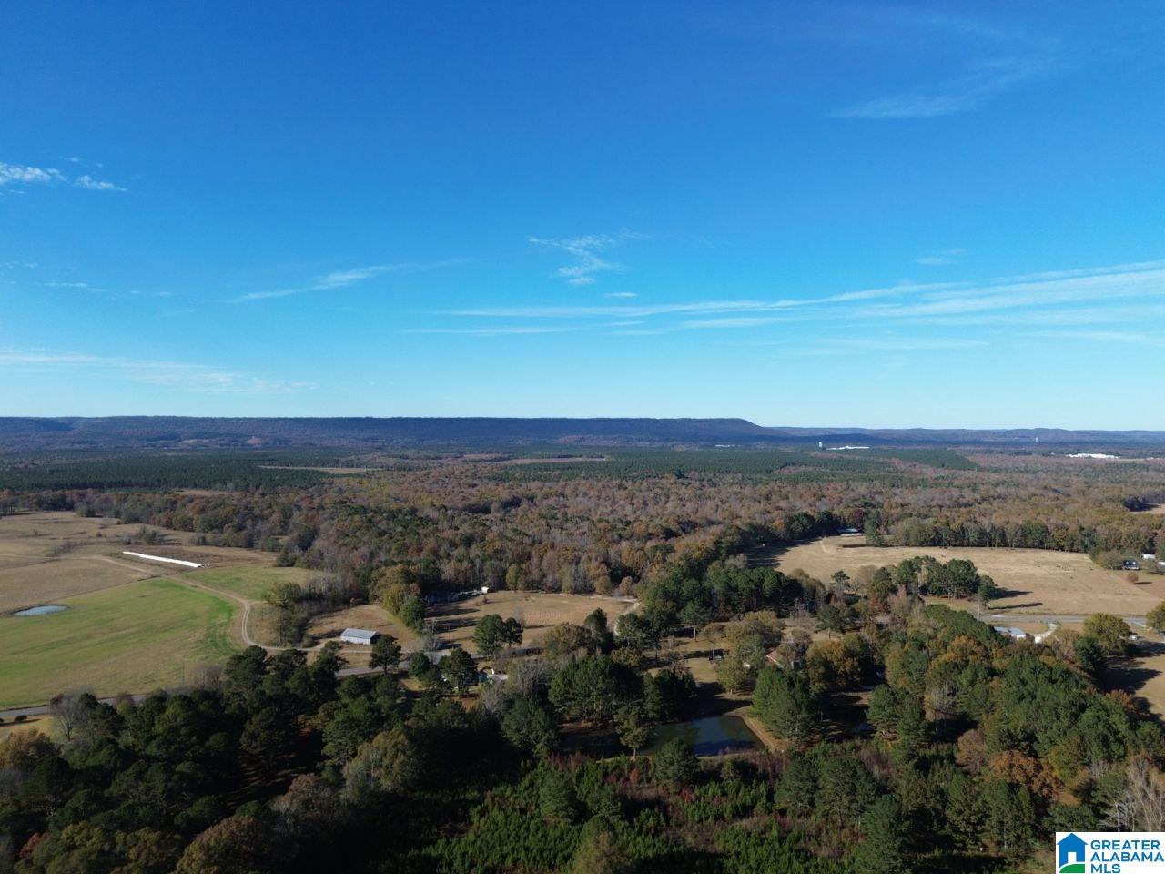 9 Loop Road, Unit 9 Ashville, AL 35953 - Photo 4 of 5