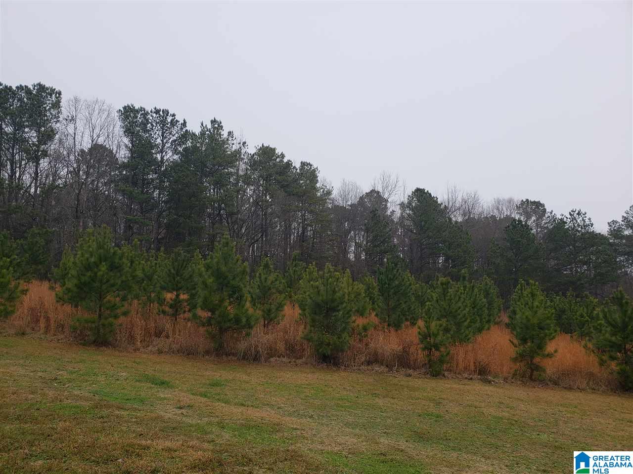 1715 County Road 33 Calera, AL 35040 - Photo 15 of 21