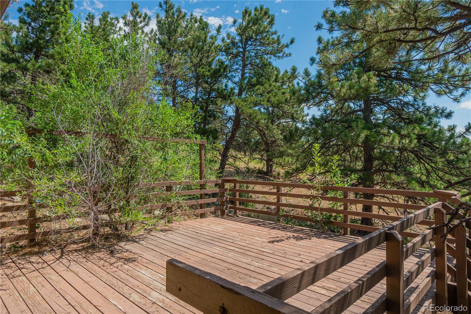 631 Eagle Ridge Road Longmont, CO 80503 - Photo 21 of 40