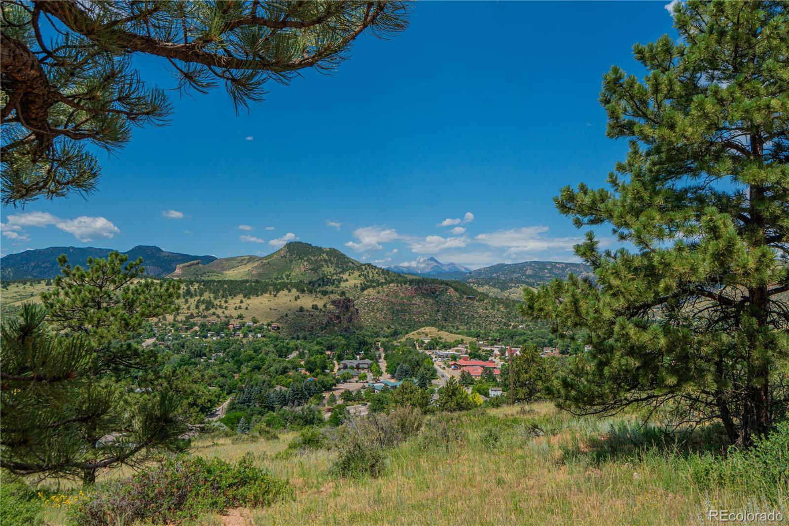 631 Eagle Ridge Road Longmont, CO 80503 - Photo 4 of 40