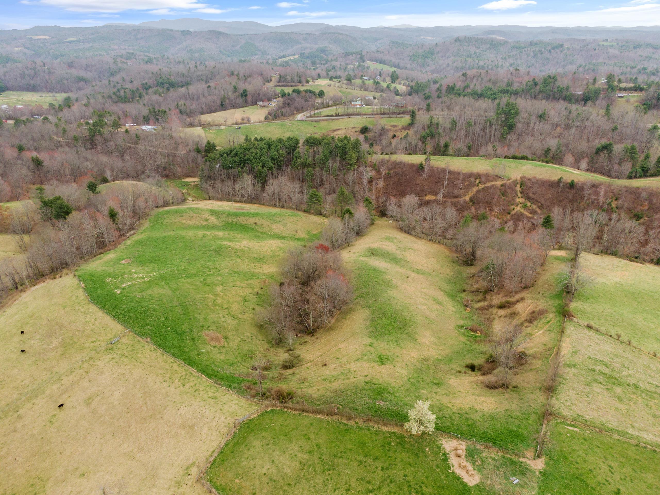497 Horse Ridge Road Northwest Willis, VA 24380 - Photo 37 of 64 Gallery Image 37