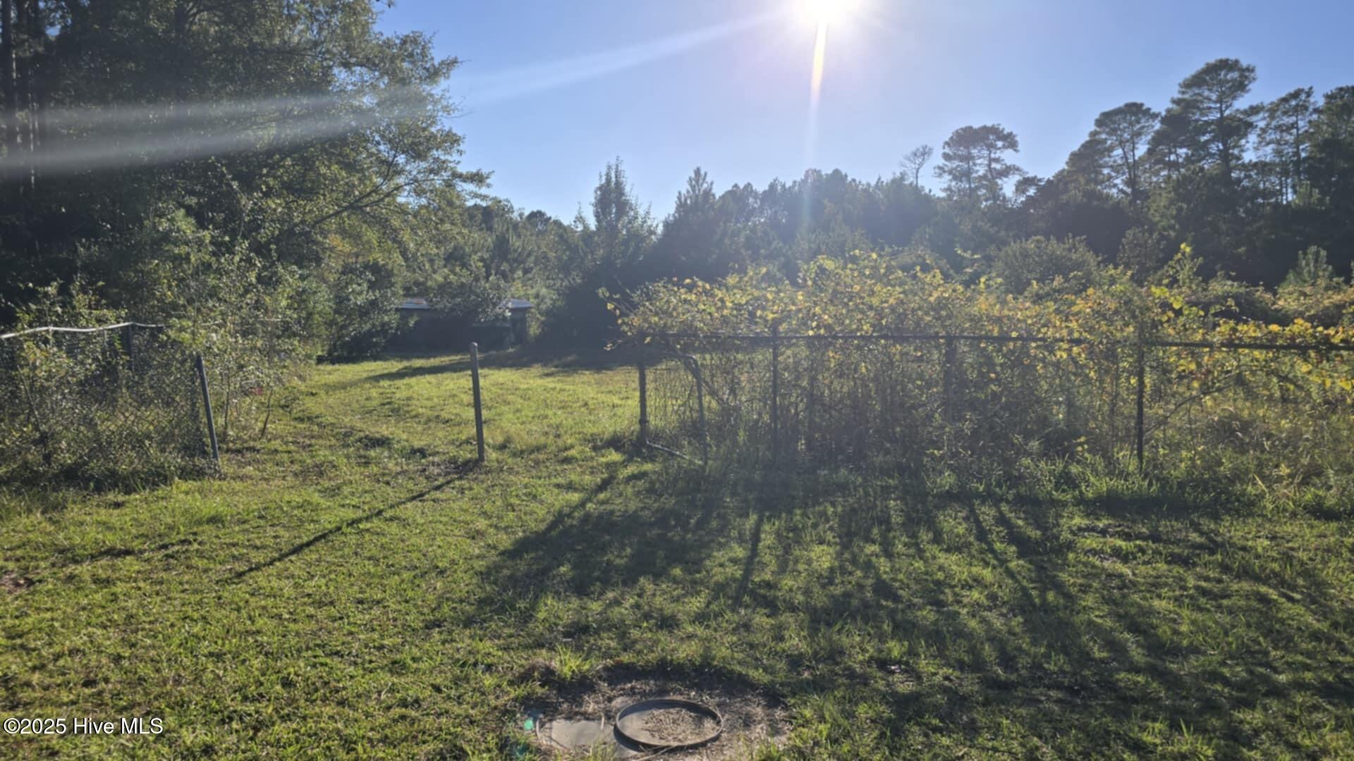 1121 Green Hill Road Northeast Leland, NC 28451 - Photo 12 of 14 Pasture 2