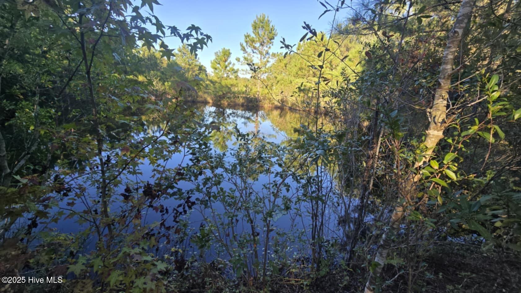 1121 Green Hill Road Northeast Leland, NC 28451 - Photo 14 of 14 Pond 2