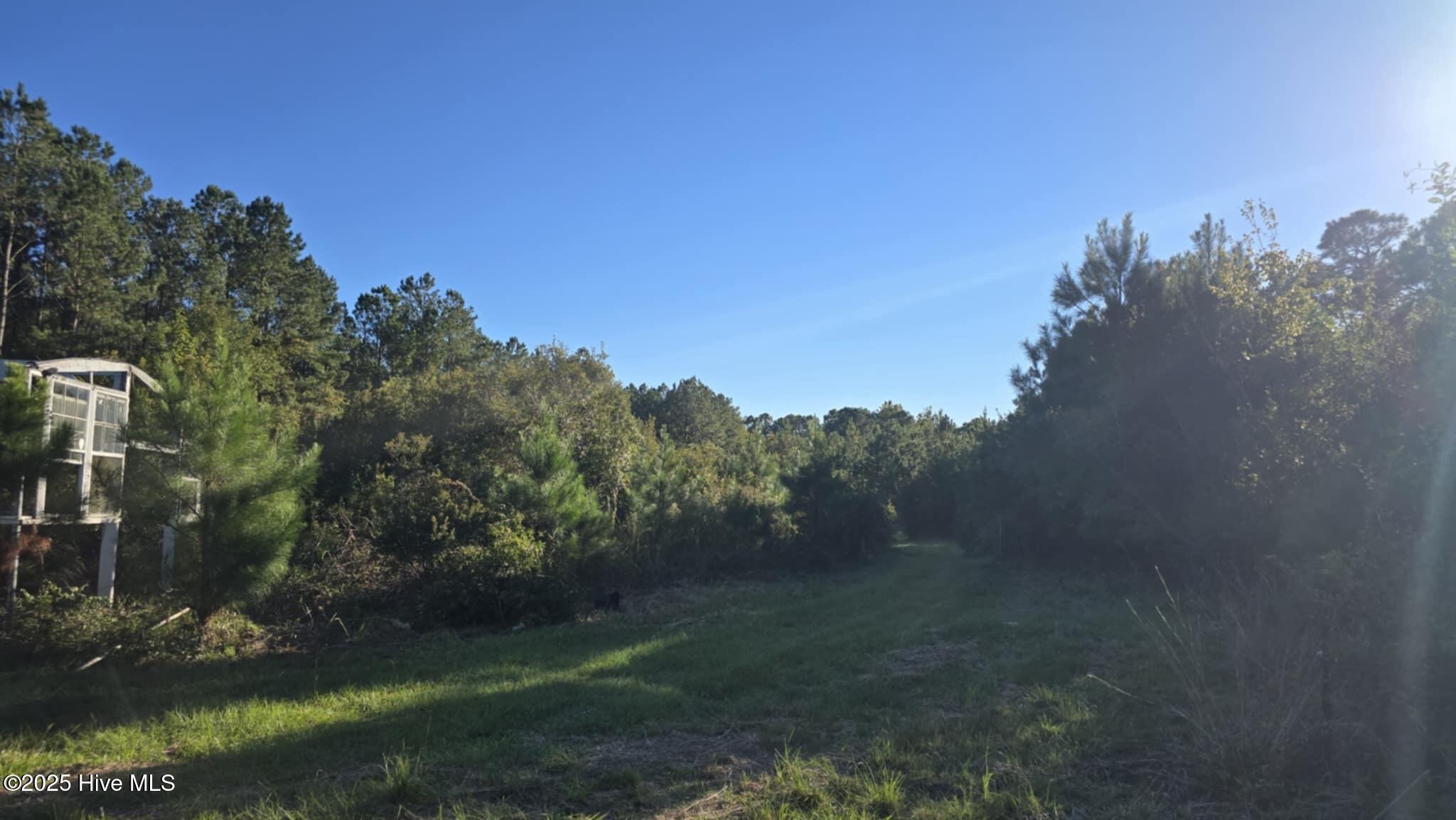 1121 Green Hill Road Northeast Leland, NC 28451 - Photo 10 of 14 Pasture