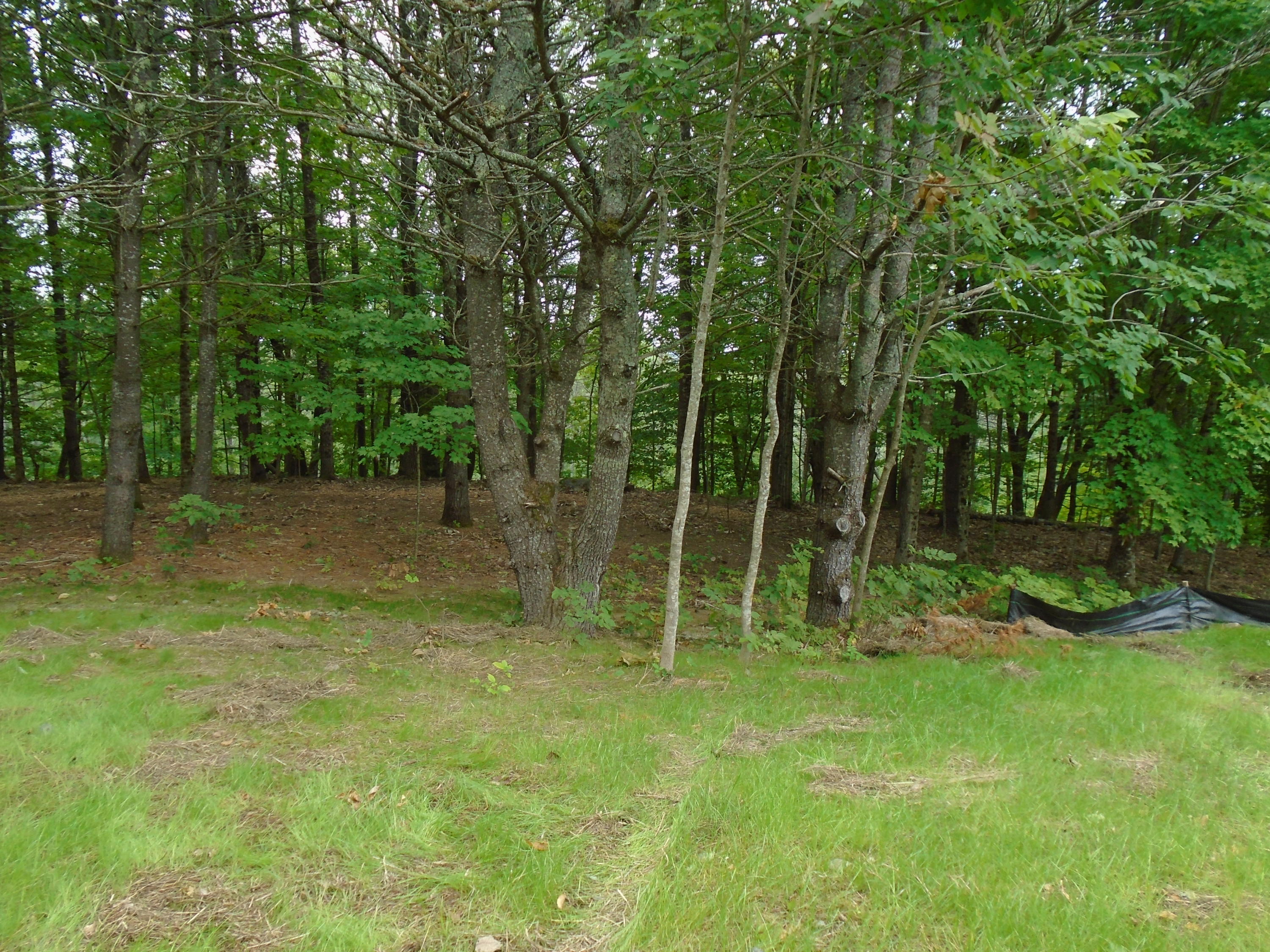 216 Sanborn Road Newfield, ME 04095 - Photo 24 of 33 DSC02084
