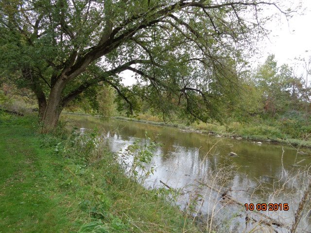 6520 Mill Vassar Mi 48768 Vassar, MI 48768 - Photo 11 of 13