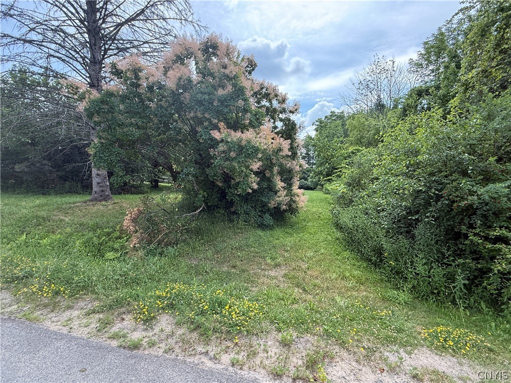 Prescott Road Deerfield, NY 13502 - Photo 4 of 15
