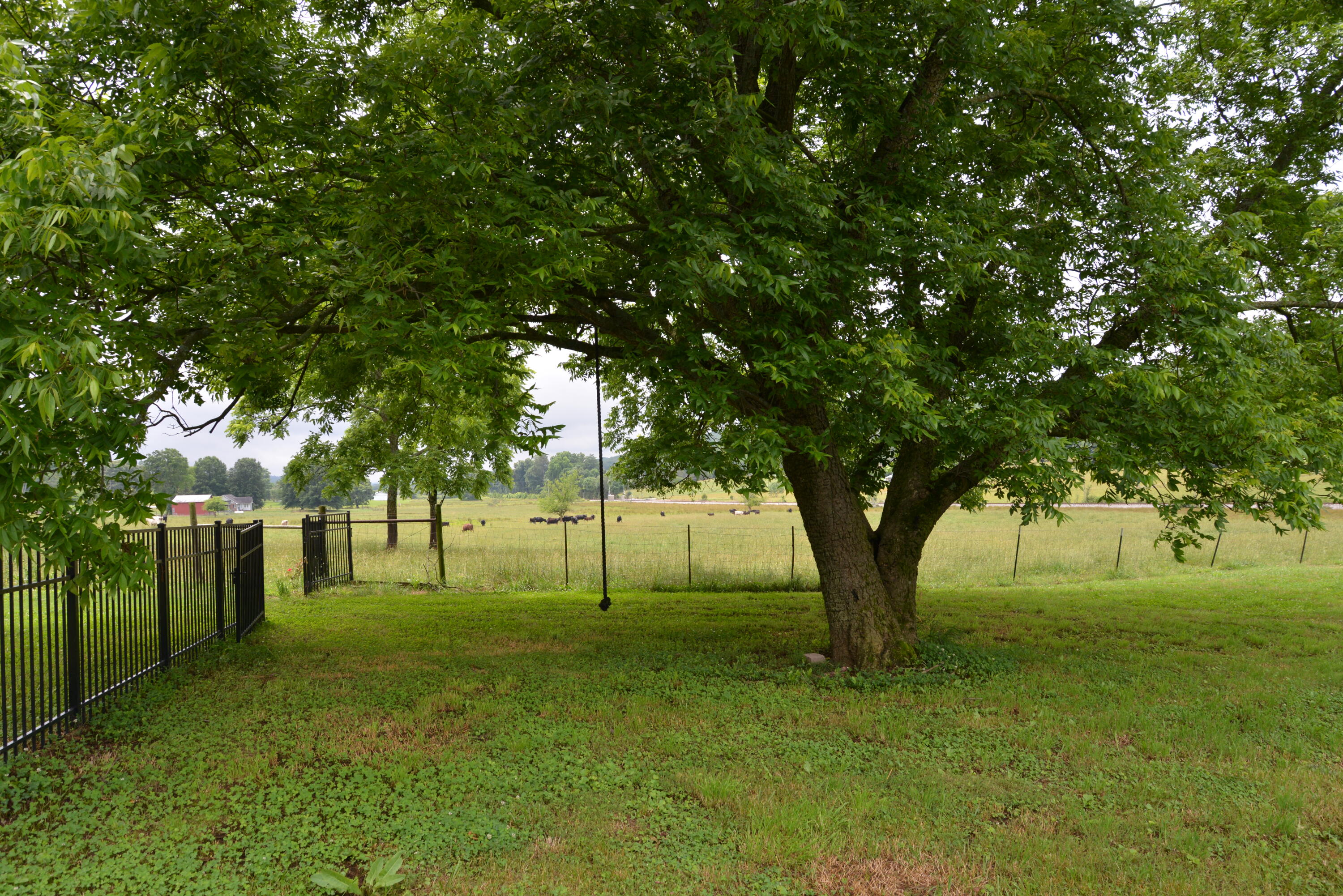 6396 Blue Springs Road Cleveland, TN 37311 - Photo 19 of 23 Backyard Swing