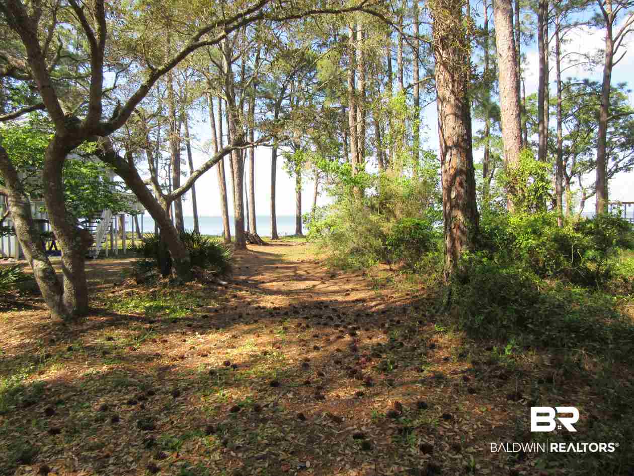 Strong Road Gulf Shores, AL 36542 - Photo 3 of 21